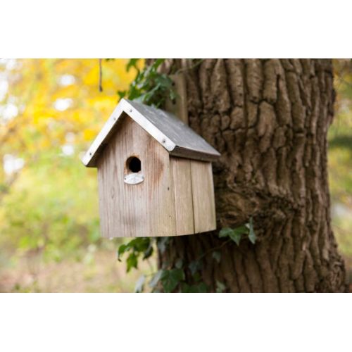 Esschert Design Pimpelmees vogelhuisje - afbeelding 2