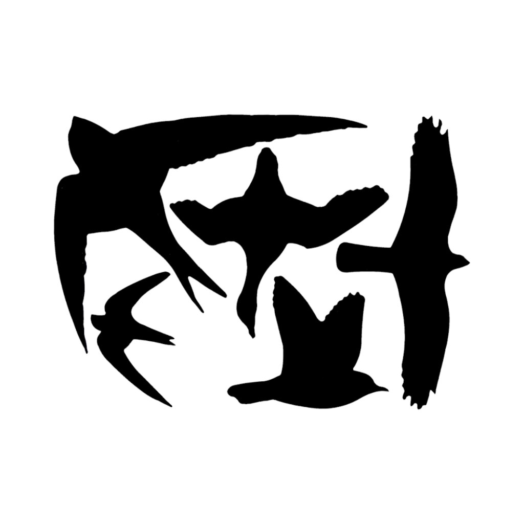 Esschert Design raamstickers vogel 5 stuks