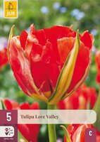 Tulp love valley 5 bollen