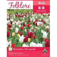 Folklore Rob bloembollen mix 35 bollen - afbeelding 2