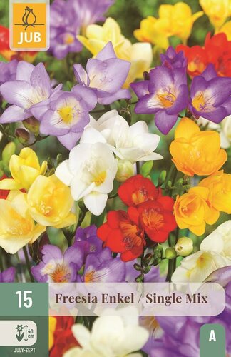Freesia enkel mix