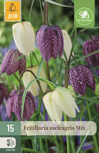 Fritillaria meleagris mix 15 bollen - afbeelding 1