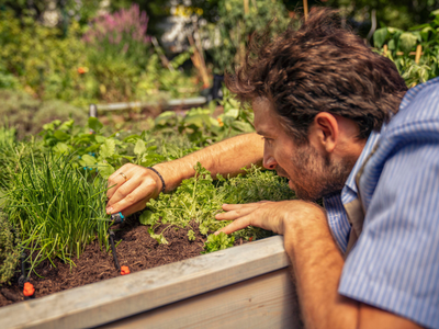 Gardena micro drip system