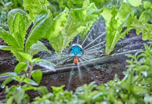 Gardena microdrip multi 6-sproeikop - afbeelding 2