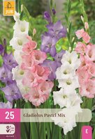Gladiolen mix pastel