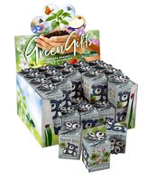 Greengift happy bear blauw in showdoos
