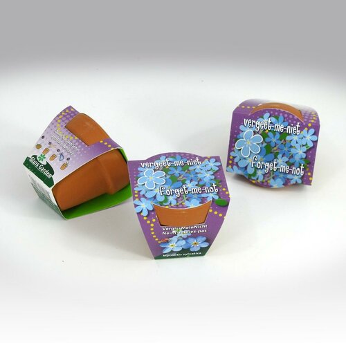 Greengift Terracotta Vergeet me niet