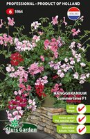 Hanggeranium Summertime F1 zaden
