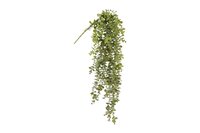 Countryfield zijden hangplant eucalyptus 98 cm licht bruin