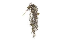 Countryfield zijden hangplant eucalyptus 98 cm rood