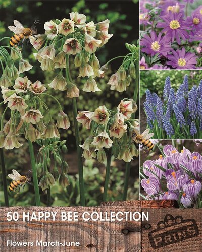 Prins Happy bee collectie 50 bollen