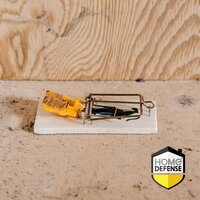 Home defense muizenval hout 2 stuks - afbeelding 2