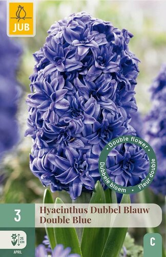 Hyacint dubbel blauw 3 bollen - afbeelding 1
