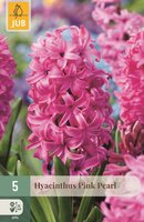 Hyacint pink pearl 5 bollen