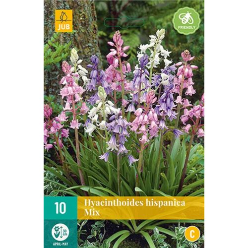 Hyacinthoides hispanica mix 10 bollen