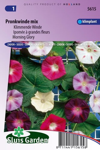 Ipomoea Tricolor zaden Choice Mixed klimmende winde