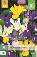 Iris hollandica mix
