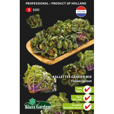 Kalettes garden mix flowersprout