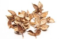 HBX Katoenpeulen naturel