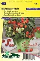 Kerstomaat hartvorm Heartbreakers Vita F1 zaden