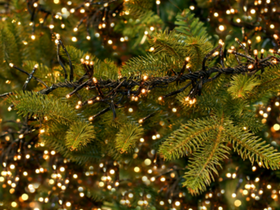 Kerstverlichting