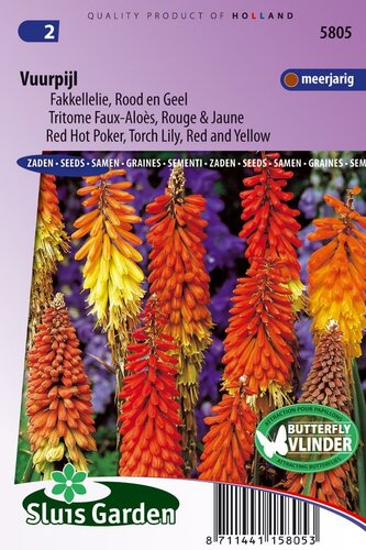 Kniphofia Uvaria zaden Fakkellelie vuurpijl