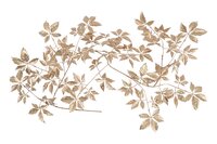 Countryfield parthenocissus 170 cm goud