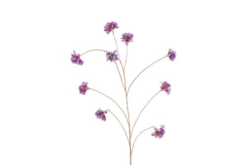 Countryfield plumeria 167 cm paars