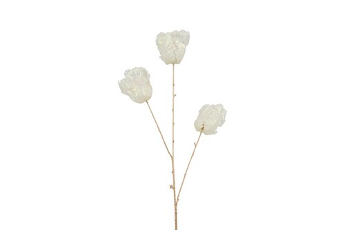 Countryfield tulp 85 cm creme