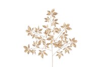 Countryfield Arachniodes 100 cm goud
