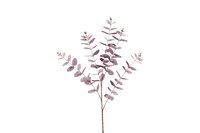Countryfield eucalyptus cin 106 cm paars