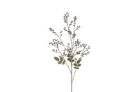 Countryfield phytolacca 87 cm paars