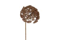 Countryfield achillea 77,5 cm bruin