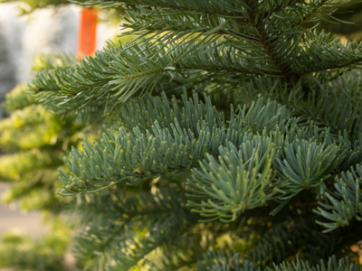 Kunstkerstbomen zonder verlichting