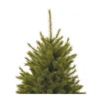 Kunstkerstboom Forest Frosted Pine 215 cm - afbeelding 2