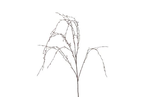 Countryfield betula 132 cm bruin