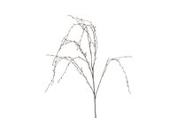 Countryfield betula 132 cm bruin