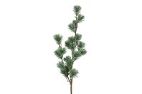 Countryfield zijden tak den pinus sphaera 78 cm groen