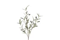 Countryfield olive 105 cm groen