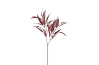 Countryfield Salix 84 cm roze