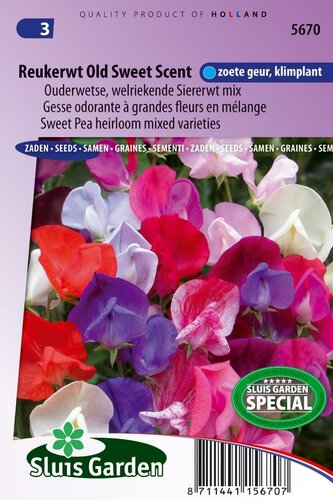 Lathyrus Odoratus zaden Old Sweet Scent reukerwt