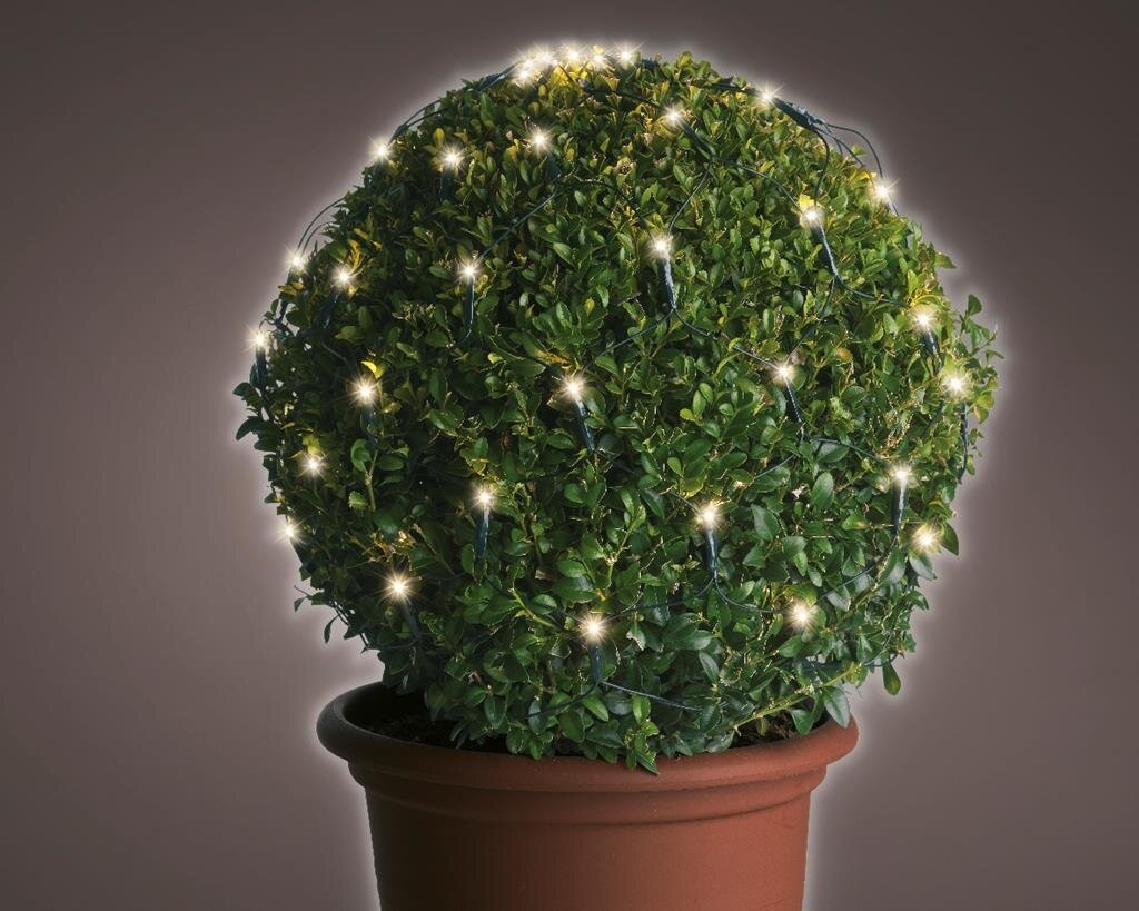 LED netverlichting buxus buit diameter 35cm-60L groen warm wit Lumineo