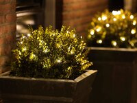 Led net buxus verlichting D35cm 60 lampjes - afbeelding 3