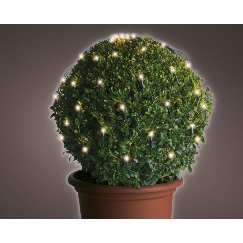 LED netverlichting buxus buit-dia50cm-80L-groen-warm wit