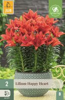 Lelie happy heart
