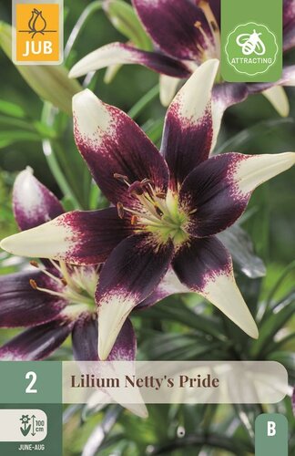 Lelie Nettys pride - afbeelding 1