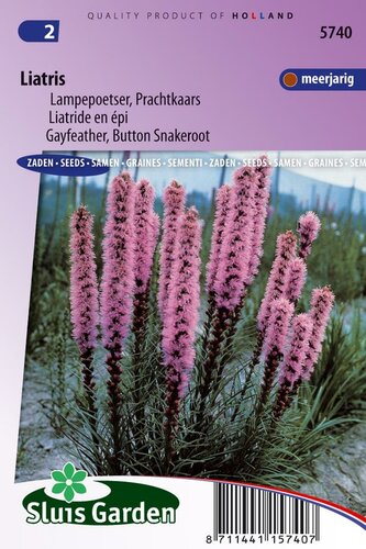 Liatris Spicata zaden Lampepoetser Prachtkaars