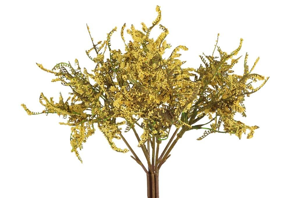 Limonium polystone 33 cm geel