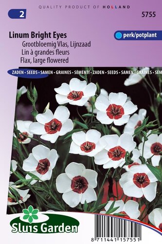 Linum Grandiflorum zaden Bright Eyes vlas