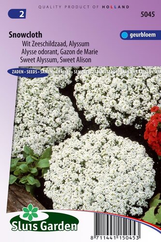 Lobularia Maritima zaden Snowcloth Schildzaad